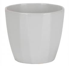 Srich Elegance Pot